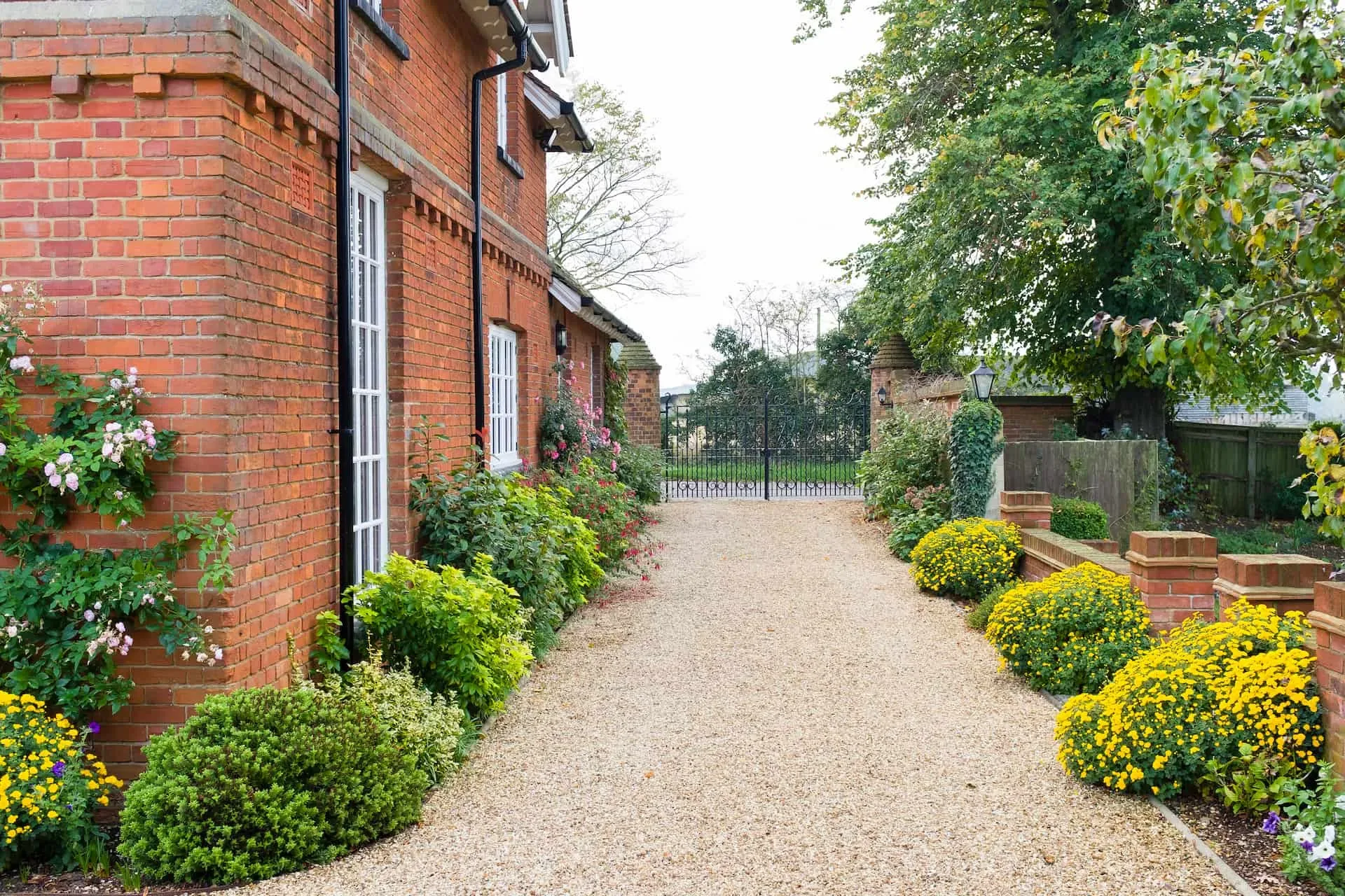Gravel driveway lined with hedges leading to a brick home