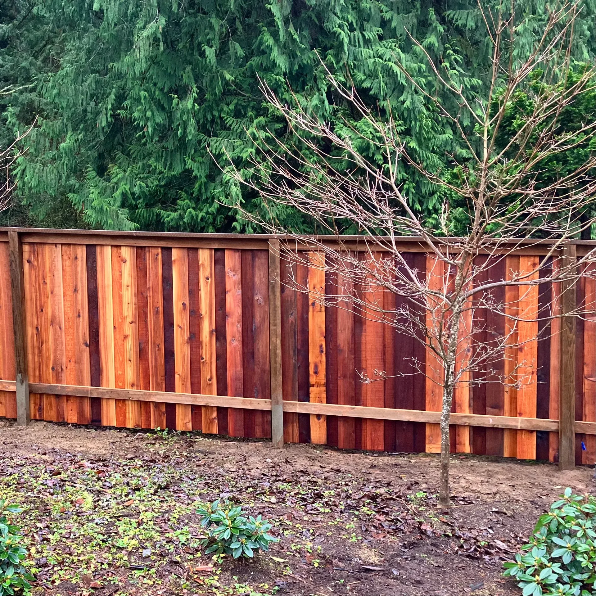 Cedar privacy fence installed along a residential back yard
