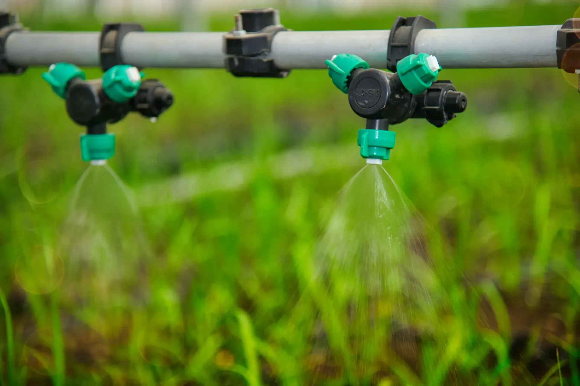 Drip irrigation manifold and valves installed in a planted bed
