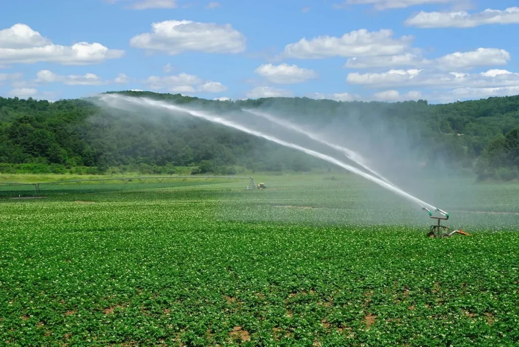 Irrigation sprinkler system watering a large green field